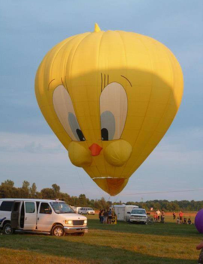 Yellow Bird