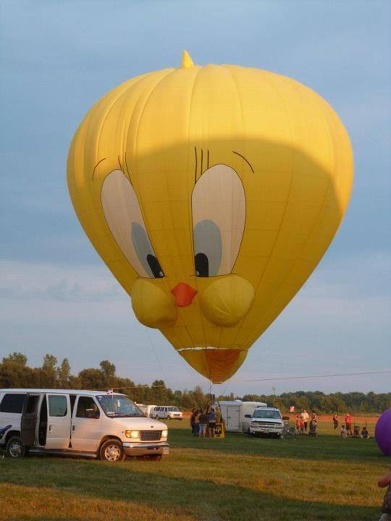 Yellow Bird - Monroe Life Balloon Festival